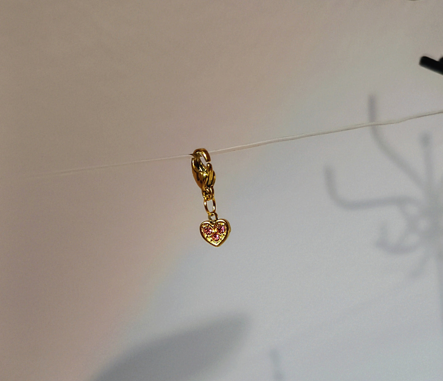 DALIA (charm)