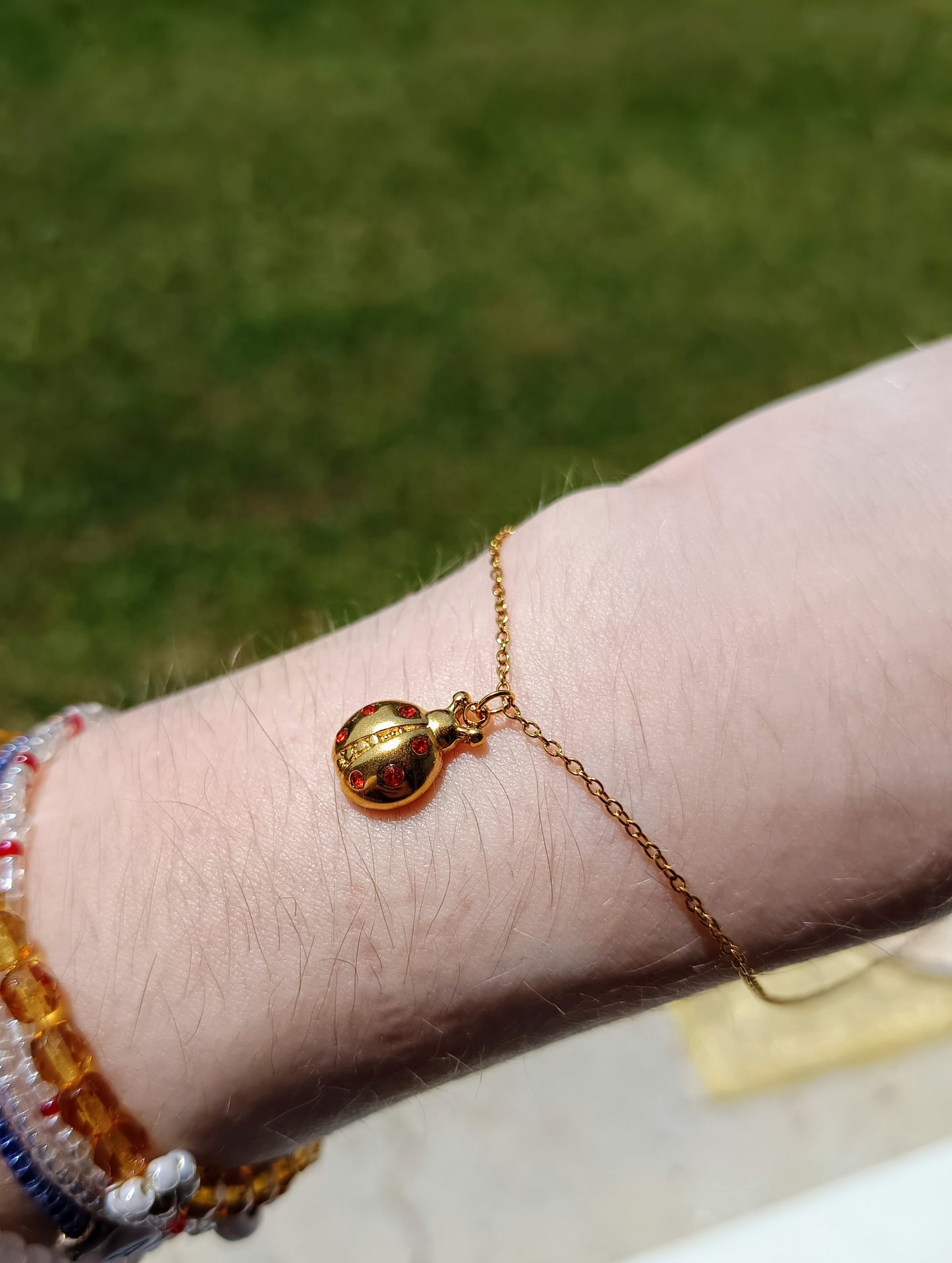 LADYBUG (BR)