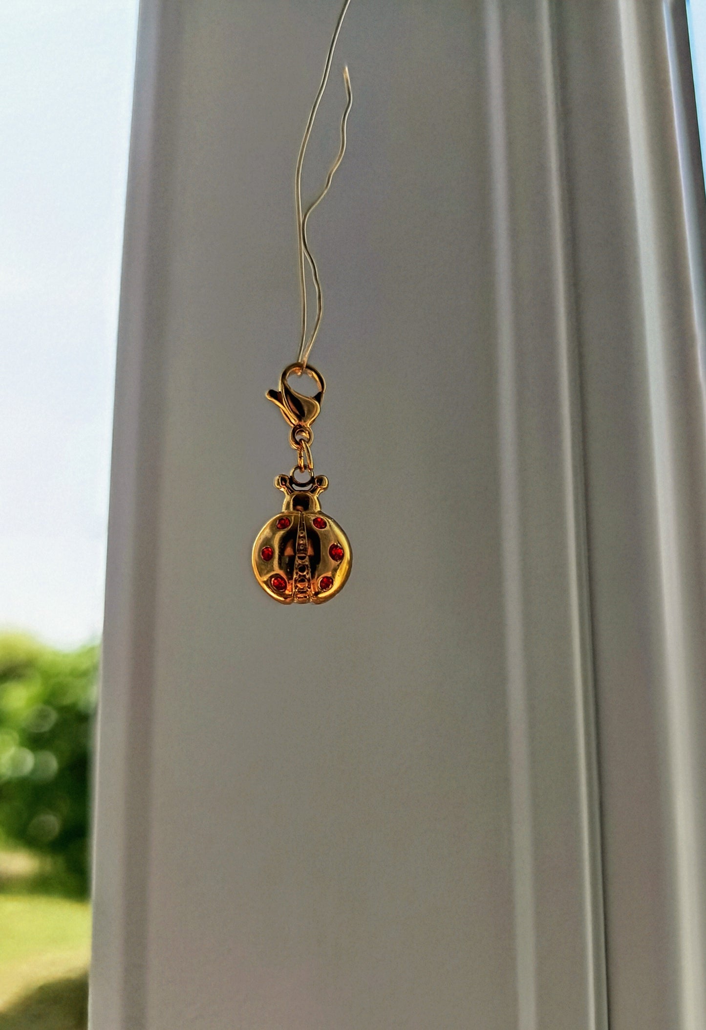 LADYBUG (CH)