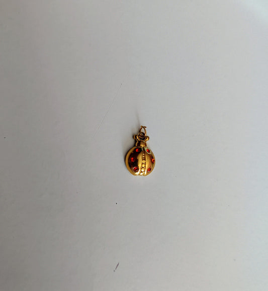 LADYBUG (CH)