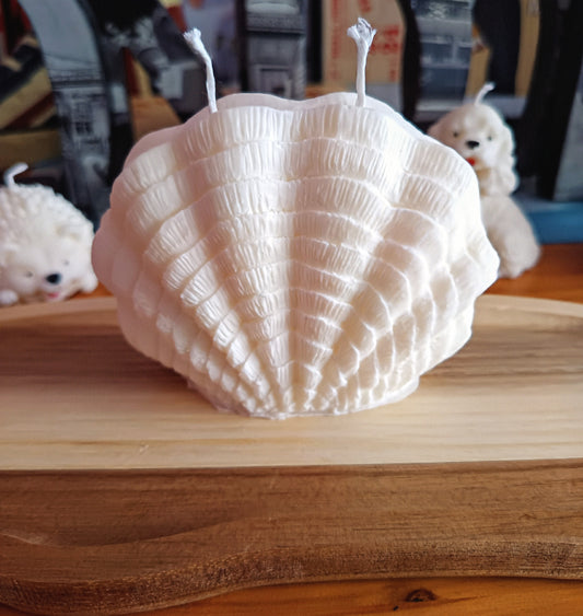 Shell (bougie)