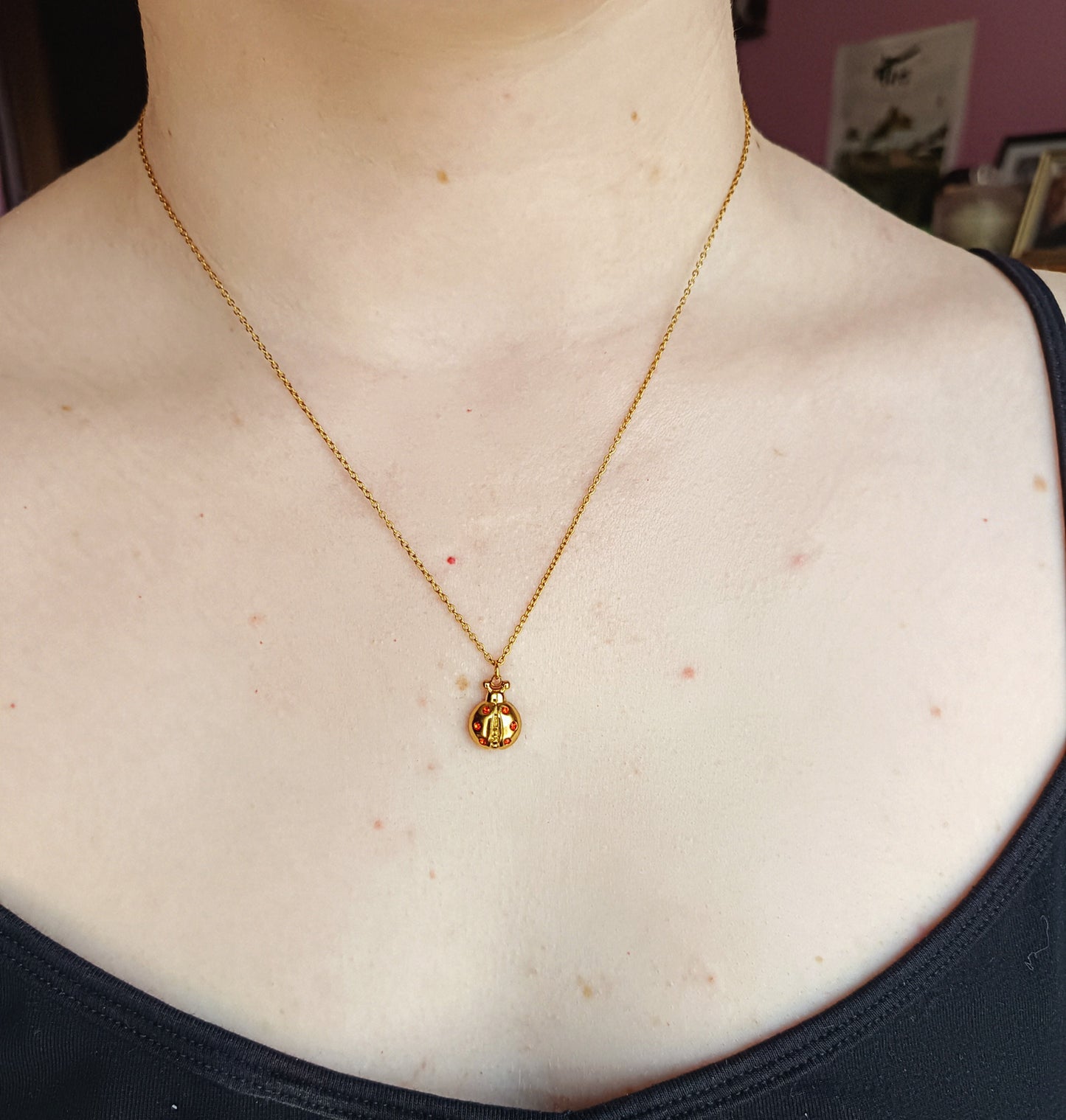 LADYBUG (CO)