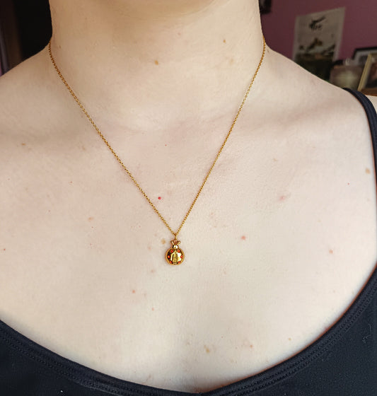LADYBUG (CO)