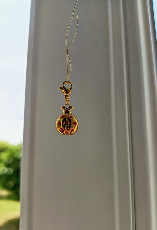 LADYBUG (CH)