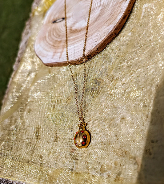 LADYBUG (CO)